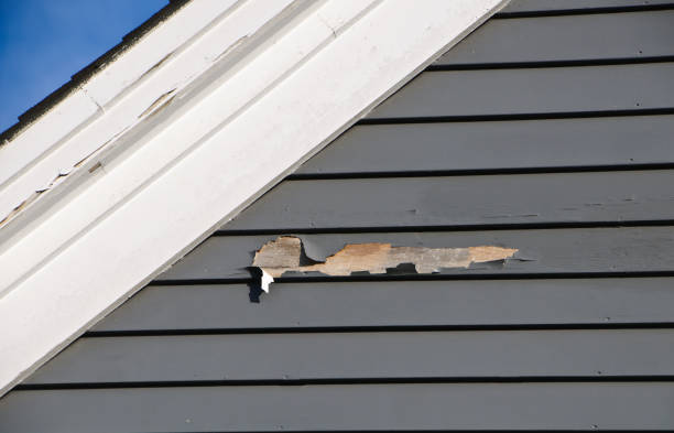 Best Brick Veneer Siding  in Presque Isle, ME
